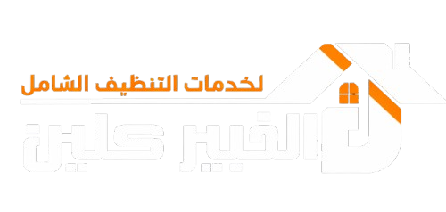 الخبير كلين